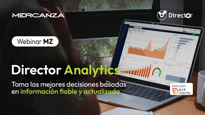 Director Analytics: control total de tu negocio